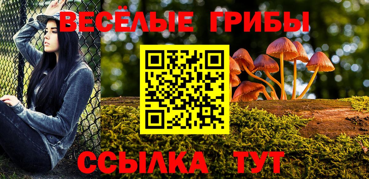 Ханты-Мансийск  Псилоцибиновые грибы GOLDEN TEACHER  Вход с VPN 